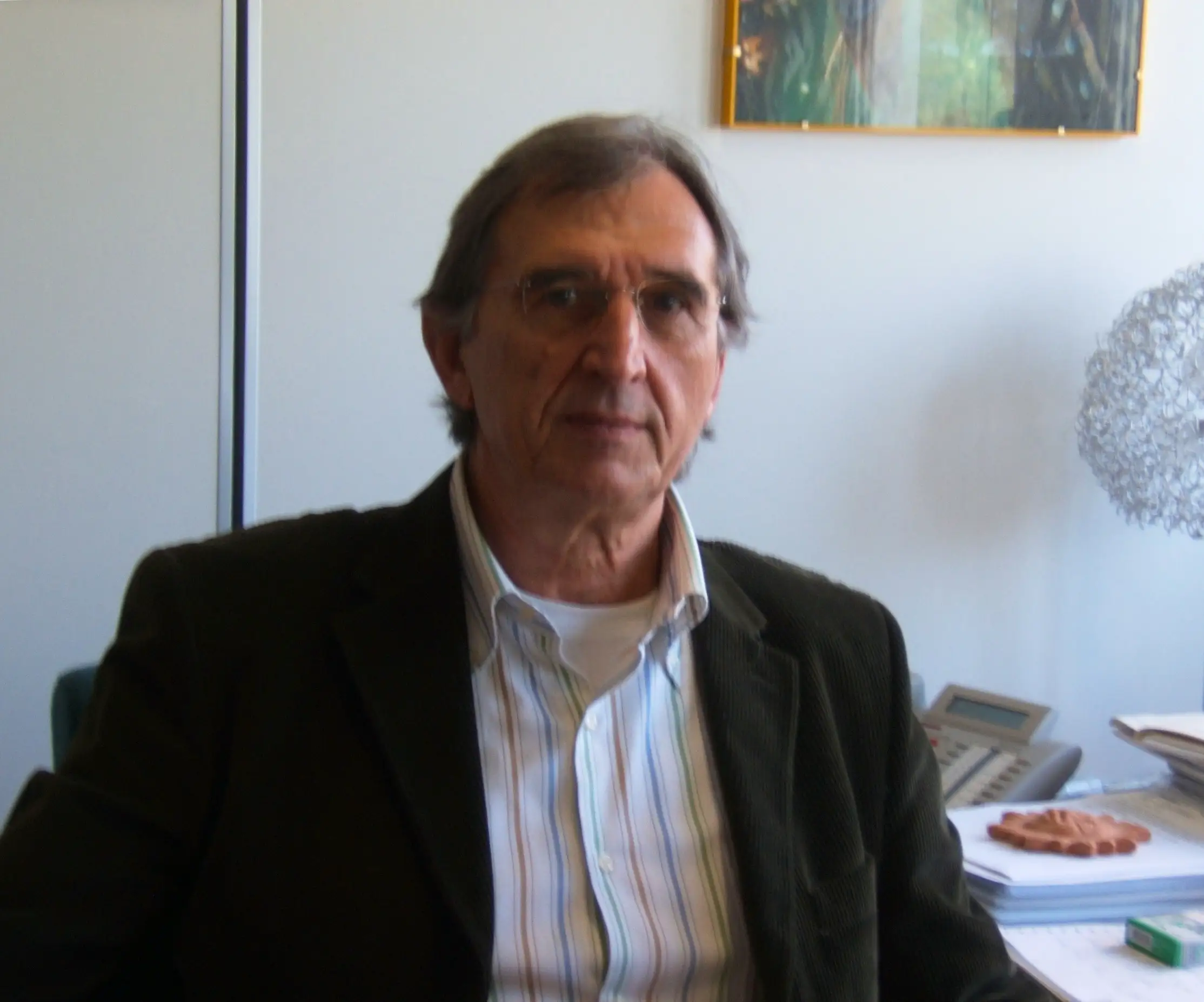 Prof. Mauro GHEDINI